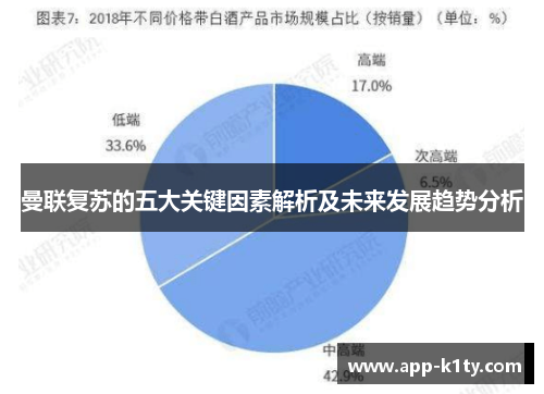 曼联复苏的五大关键因素解析及未来发展趋势分析