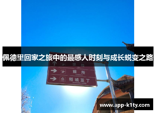 佩德里回家之旅中的最感人时刻与成长蜕变之路
