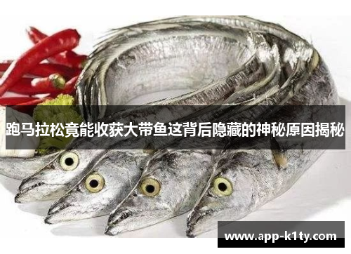 跑马拉松竟能收获大带鱼这背后隐藏的神秘原因揭秘
